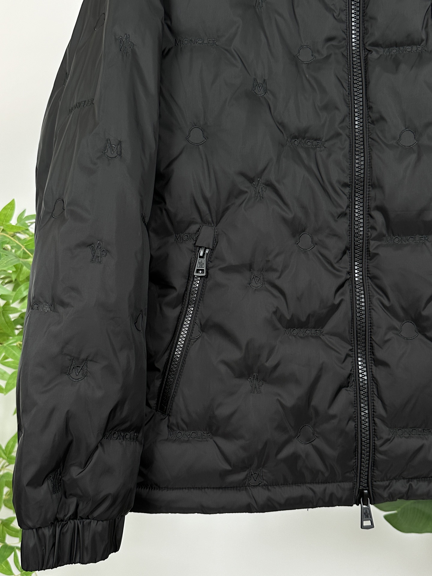 Moncler Down Jackets